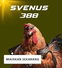 Sabung Ayam